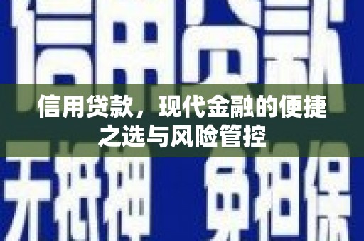 新绛信用贷款，现代金融的便捷之选与风险管控