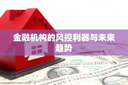 新绛金融机构的风控利器与未来趋势