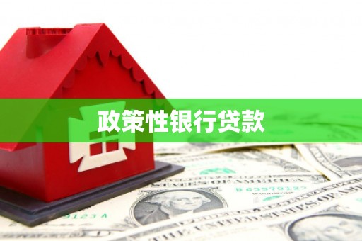 新绛政策性银行贷款