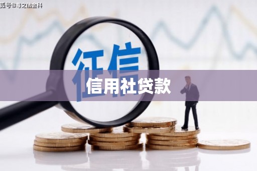 新绛信用社贷款