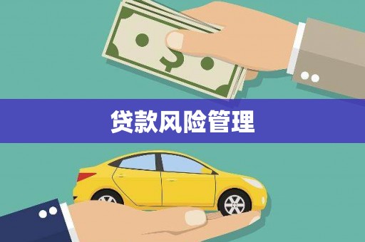 新绛贷款风险管理