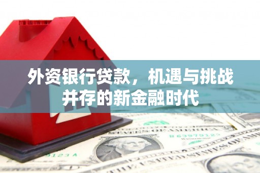 新绛外资银行贷款，机遇与挑战并存的新金融时代