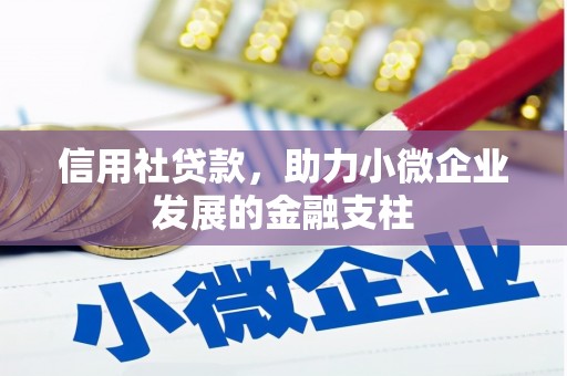 新绛信用社贷款，助力小微企业发展的金融支柱