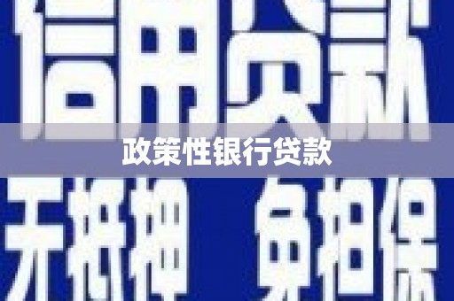 新绛政策性银行贷款