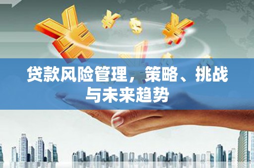 新绛贷款风险管理，策略、挑战与未来趋势