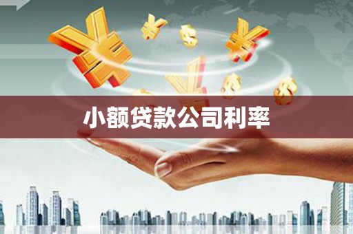 新绛小额贷款公司利率
