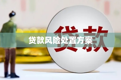 新绛贷款风险处置方案