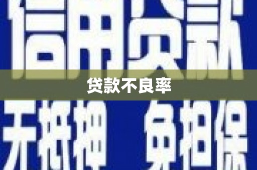 新绛贷款不良率