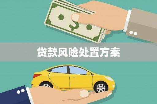 新绛贷款风险处置方案