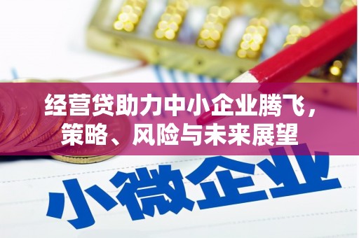 新绛经营贷助力中小企业腾飞，策略、风险与未来展望