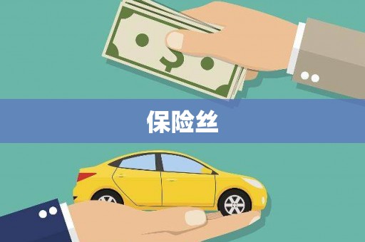 新绛保险丝
