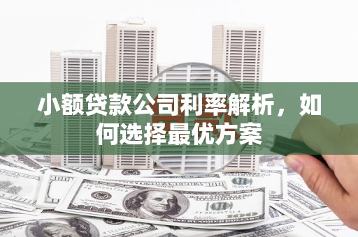 新绛小额贷款公司利率解析，如何选择最优方案
