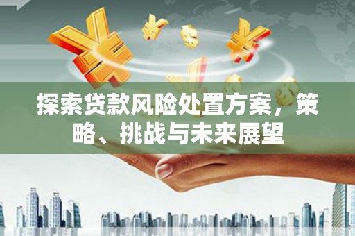新绛探索贷款风险处置方案，策略、挑战与未来展望
