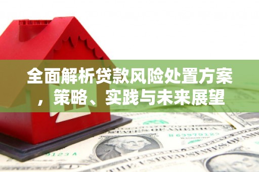 新绛全面解析贷款风险处置方案，策略、实践与未来展望