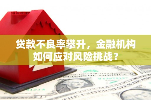 新绛贷款不良率攀升，金融机构如何应对风险挑战？