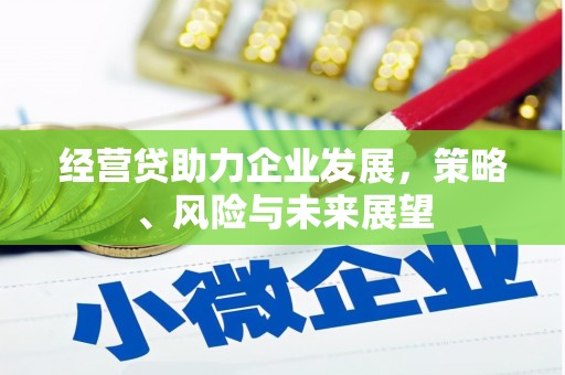 新绛经营贷助力企业发展，策略、风险与未来展望