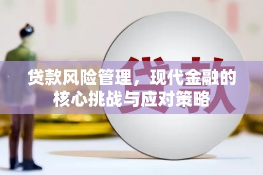 新绛贷款风险管理，现代金融的核心挑战与应对策略