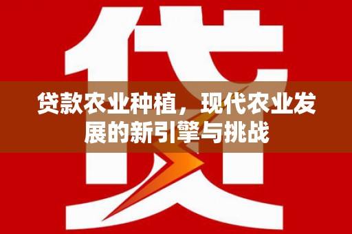 新绛贷款农业种植，现代农业发展的新引擎与挑战