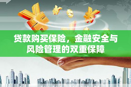 新绛贷款购买保险，金融安全与风险管理的双重保障