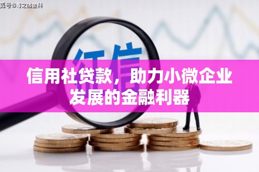 新绛信用社贷款，助力小微企业发展的金融利器