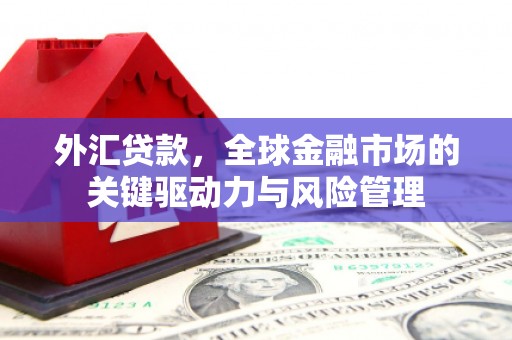 新绛外汇贷款，全球金融市场的关键驱动力与风险管理