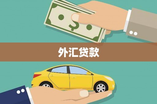 新绛外汇贷款