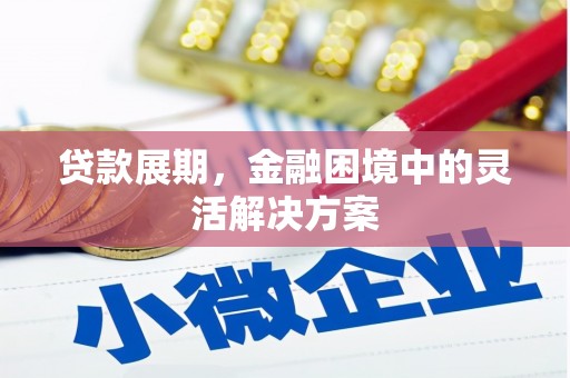 新绛贷款展期，金融困境中的灵活解决方案