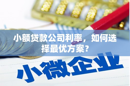 新绛小额贷款公司利率，如何选择最优方案？