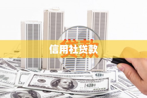 新绛信用社贷款