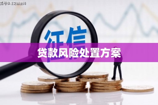 新绛贷款风险处置方案