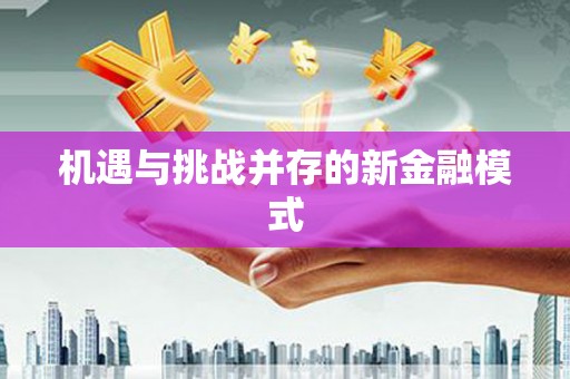 新绛机遇与挑战并存的新金融模式