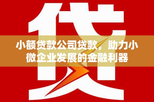 新绛小额贷款公司贷款，助力小微企业发展的金融利器