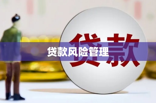 新绛贷款风险管理