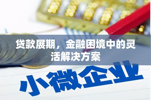 新绛贷款展期，金融困境中的灵活解决方案