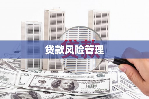 新绛贷款风险管理