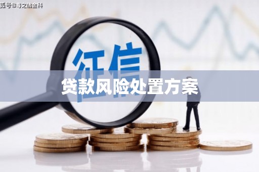 新绛贷款风险处置方案