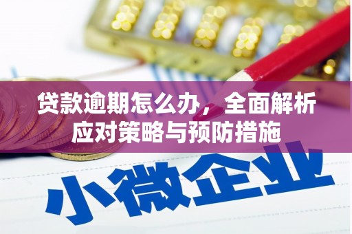 新绛贷款逾期怎么办，全面解析应对策略与预防措施