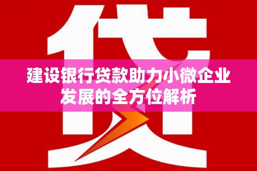 新绛建设银行贷款助力小微企业发展的全方位解析