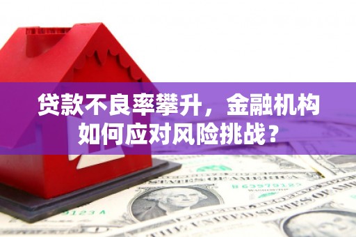 新绛贷款不良率攀升，金融机构如何应对风险挑战？