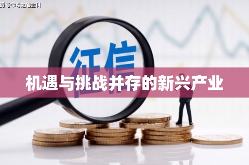 新绛机遇与挑战并存的新兴产业